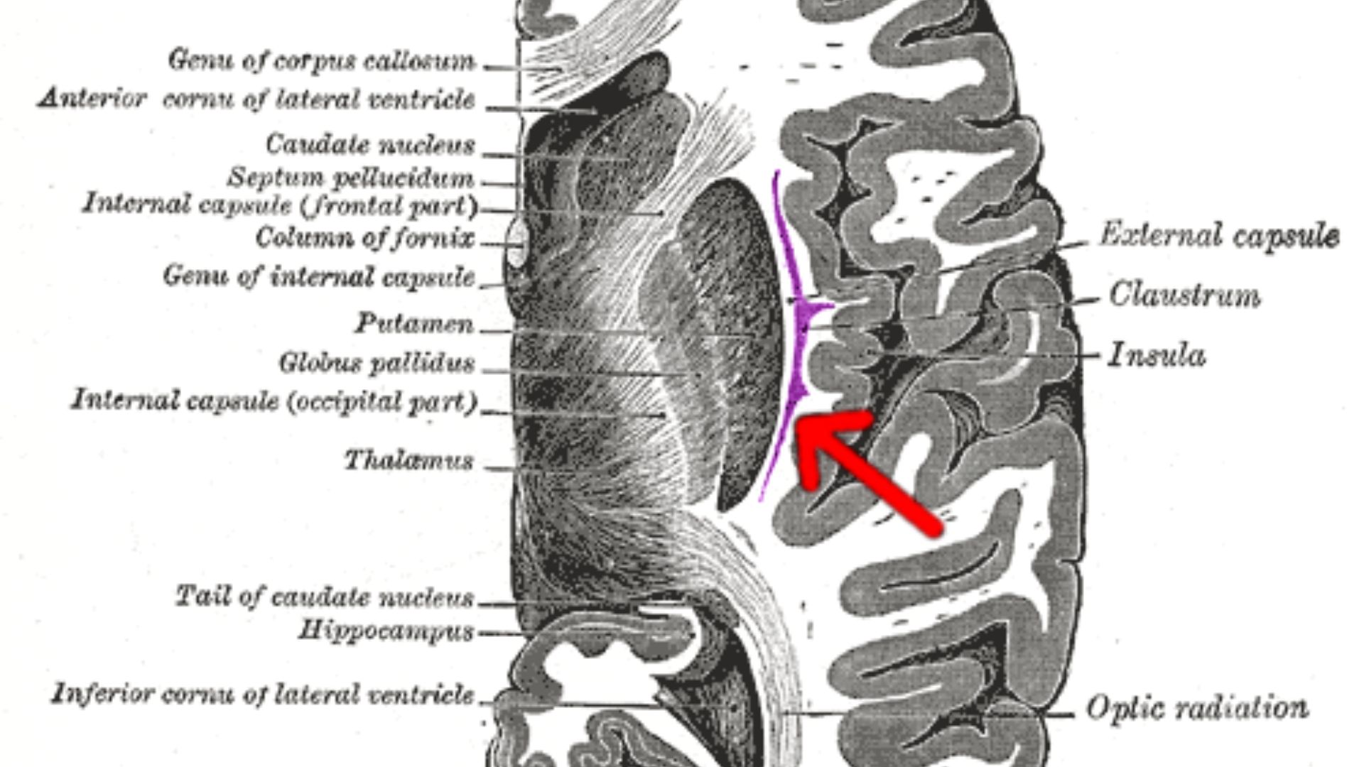 1786393663045f5381ff2dcee8a25b2a89c49f95b5a1bbbb8b.png