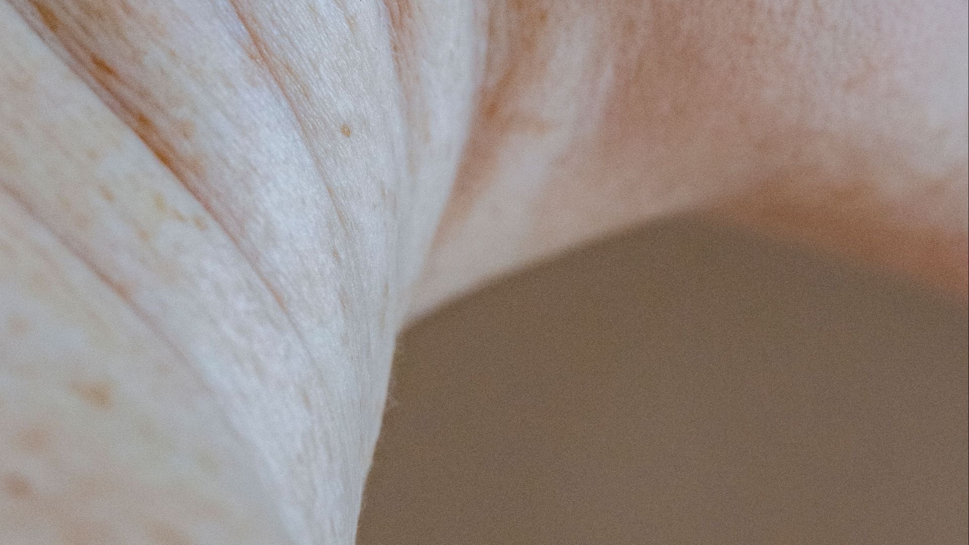 1787322742b87fc7b28bba6c771001fb37471176f0664959f9.jpeg
