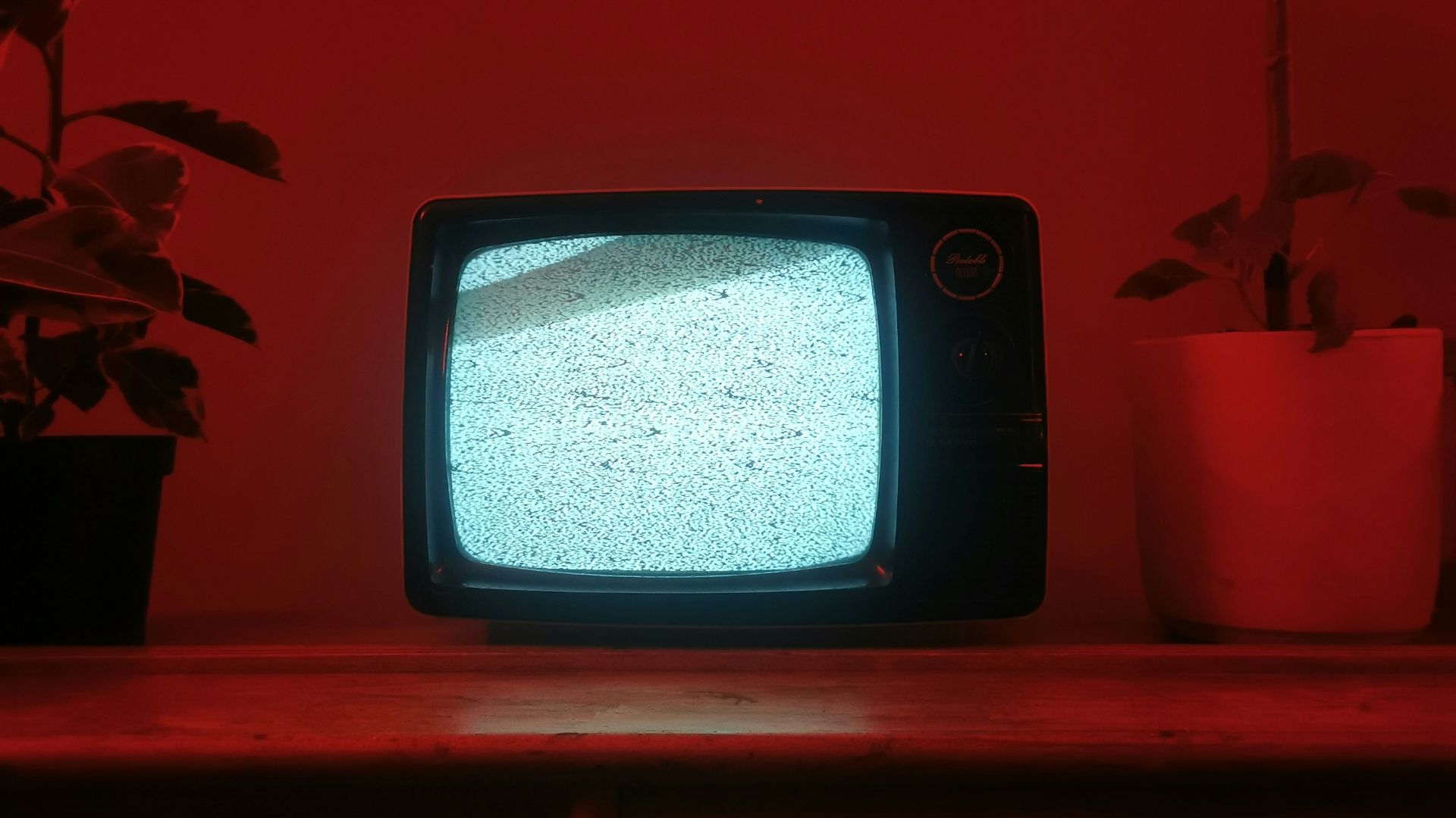 1787774911fec3bb1693bdf42b2e5ddd3566248d9885f1283f.jpg