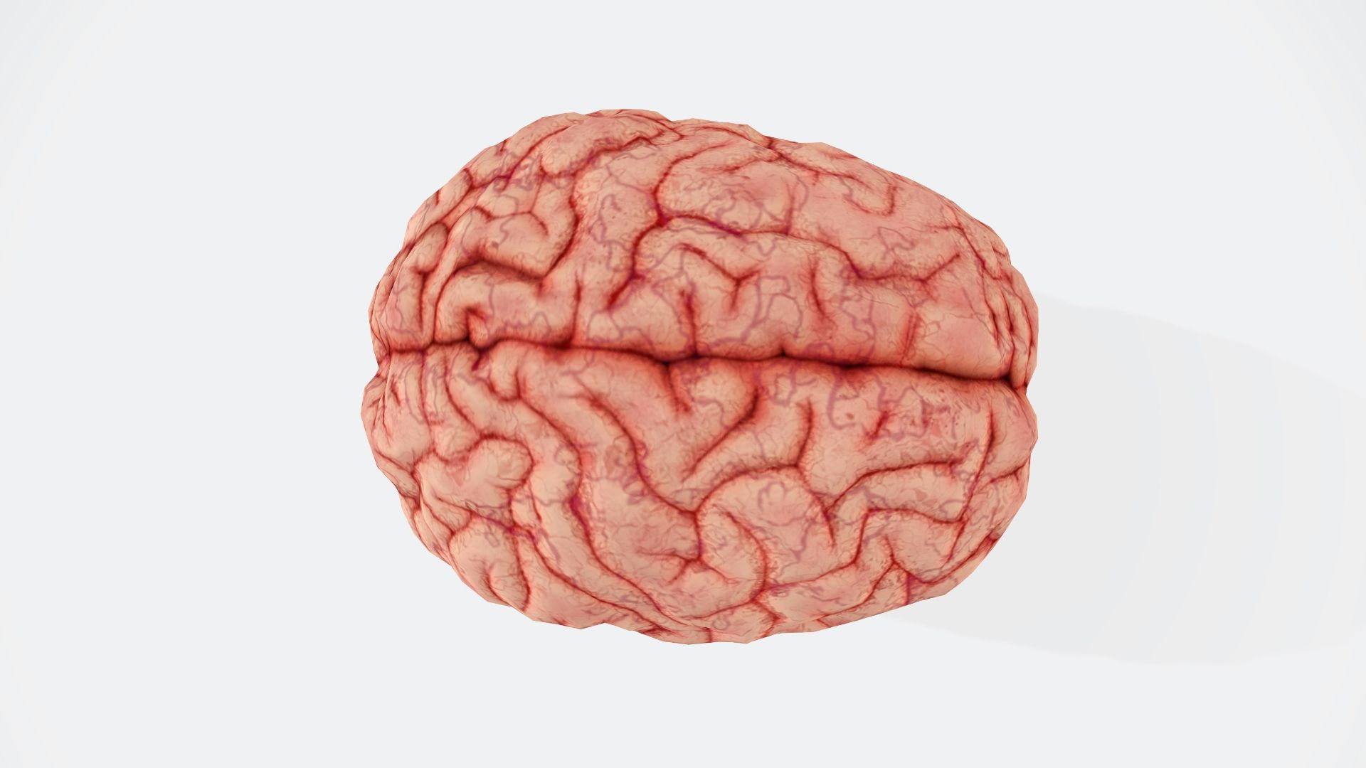 1787946811d8dff5fc685ca7ff11d219e6b4691198d106e846.jpg