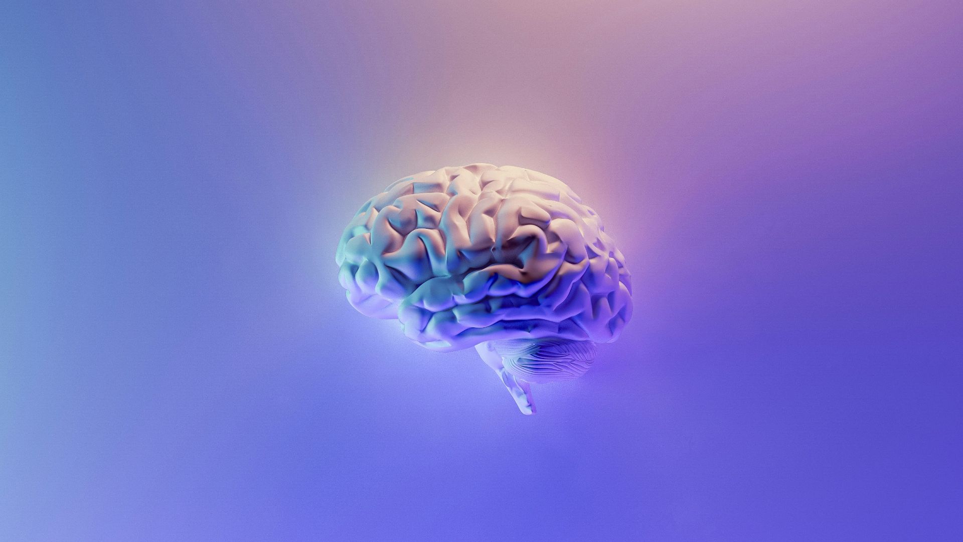 178818716321114f5f217550ab11283d199a54b8fc7cf1d0e2.jpg