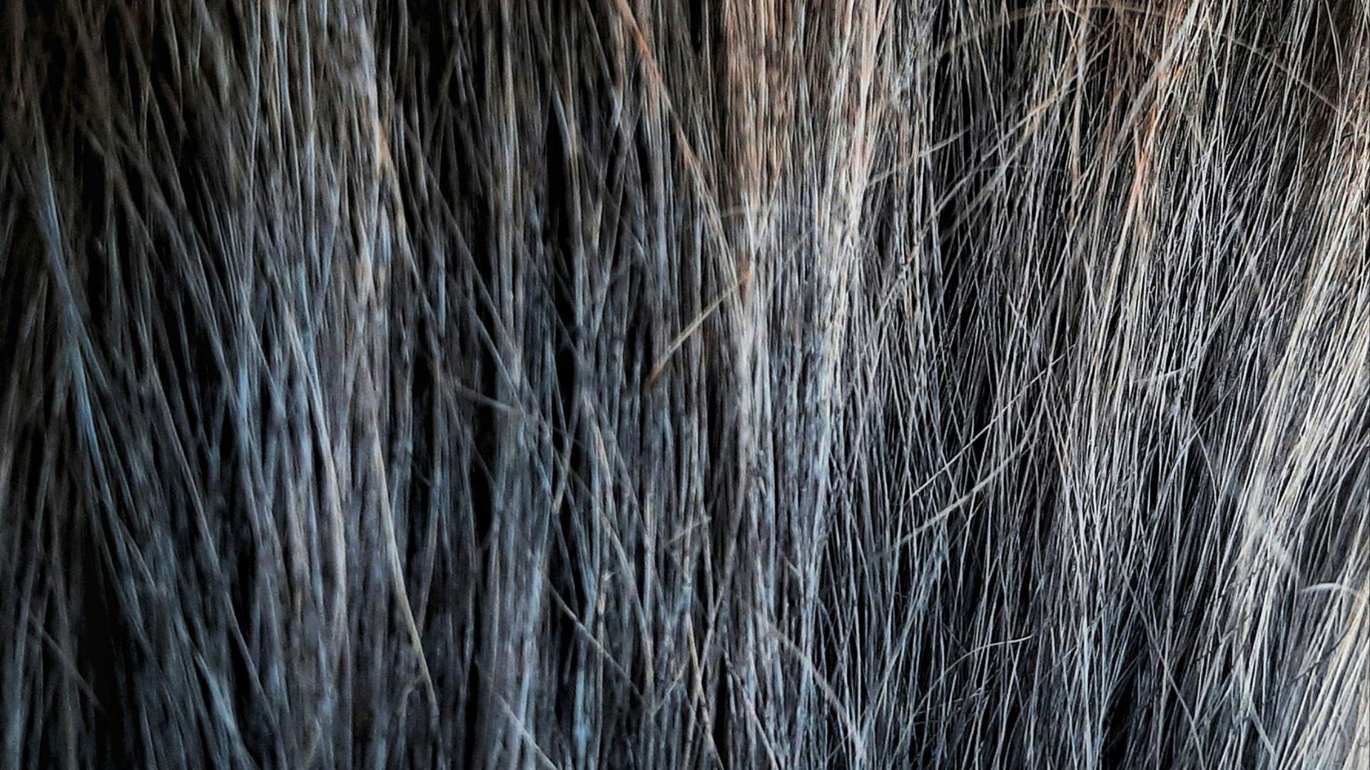 17894106677425347a81a5ba3f2badb8b02144e378de37d1be.jpg