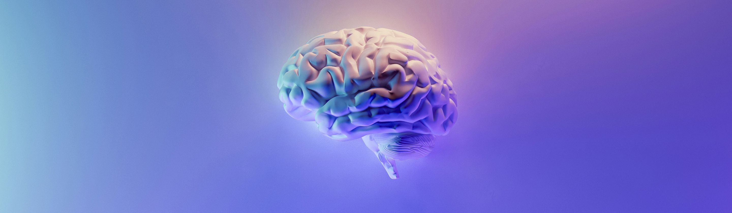 178966533221114f5f217550ab11283d199a54b8fc7cf1d0e2.jpg