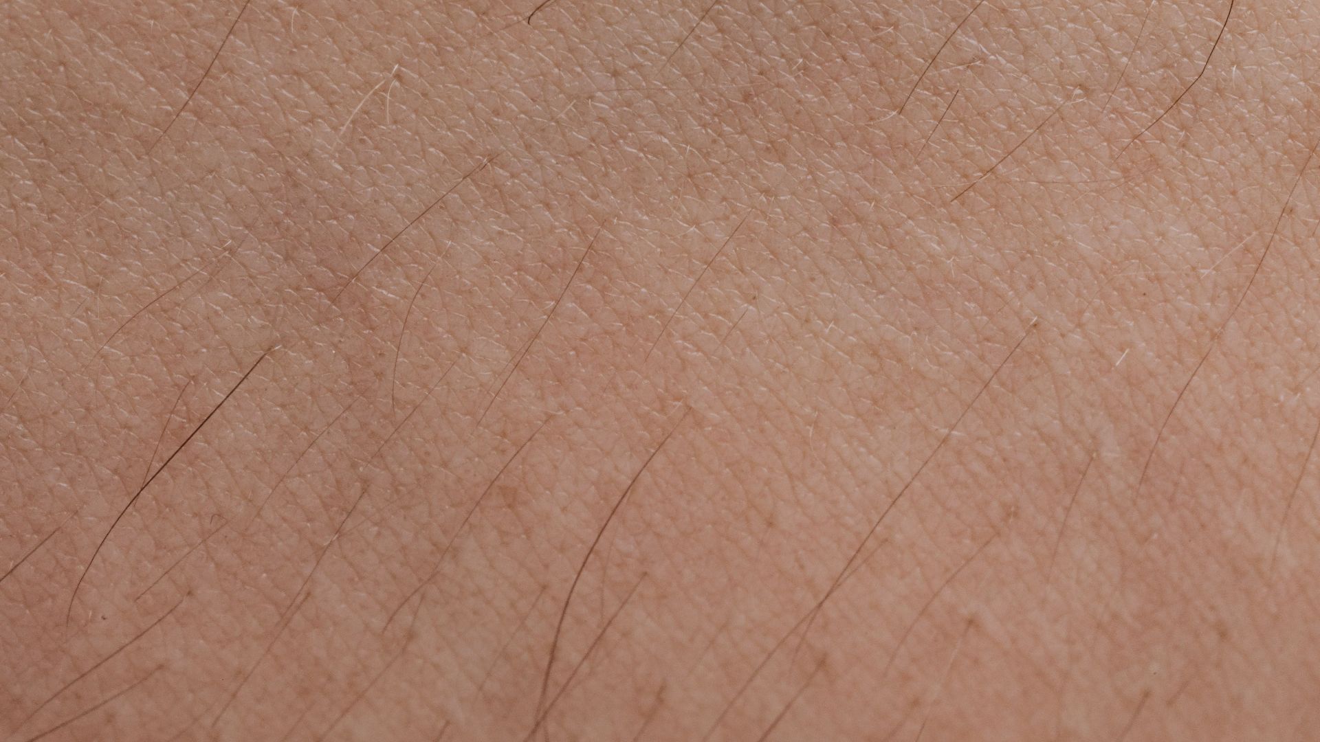 17903700089410e7df07b0144136d461aa9b32dbd3ab3522ba.jpeg