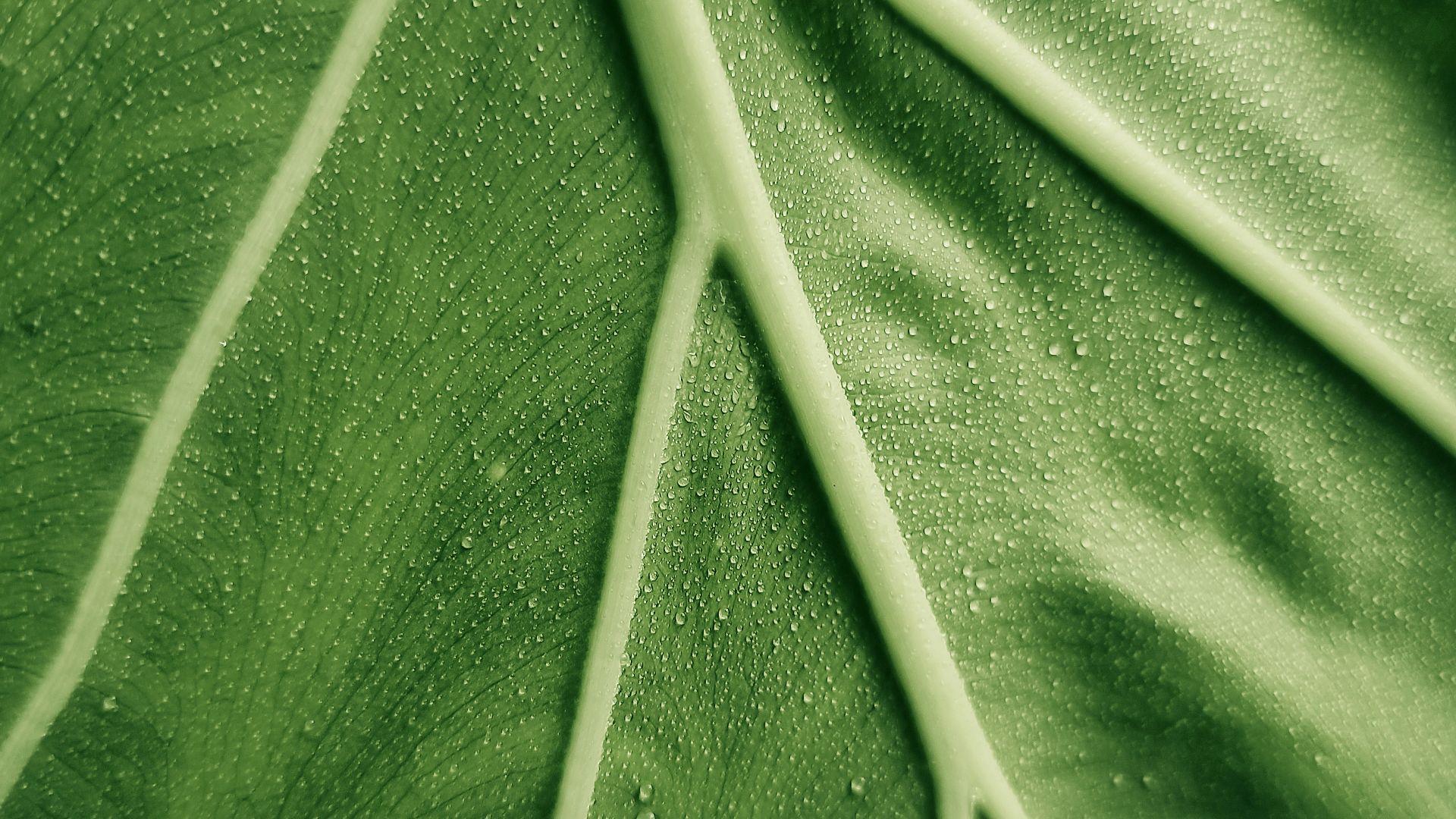 178898490516a5b10160dabb44930986dd7ef9c3fdbd0e6aa1.jpg