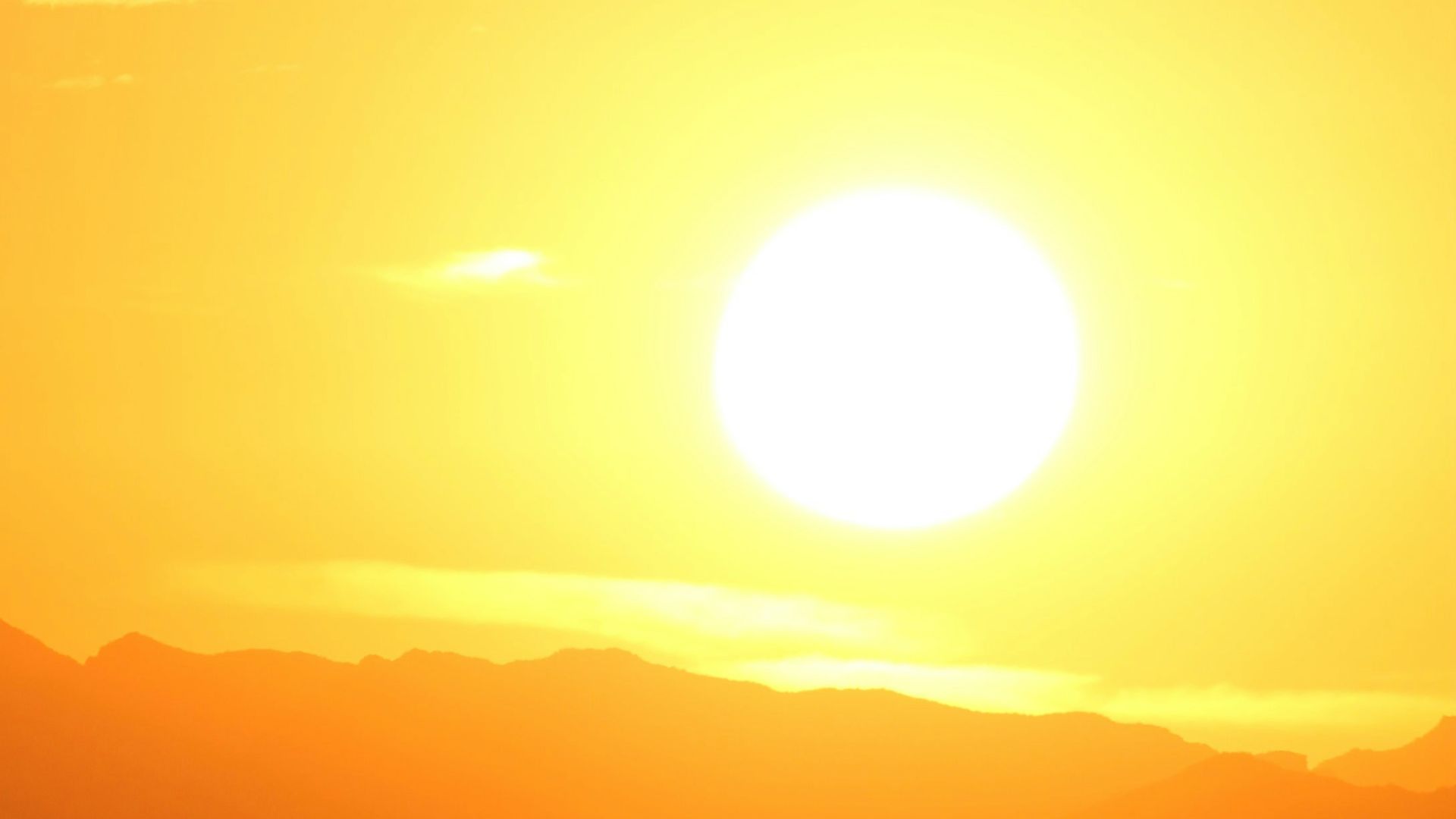 1788985435a15d07d1ec1773129a6a6b97b3ef11e75ae20229.jpg