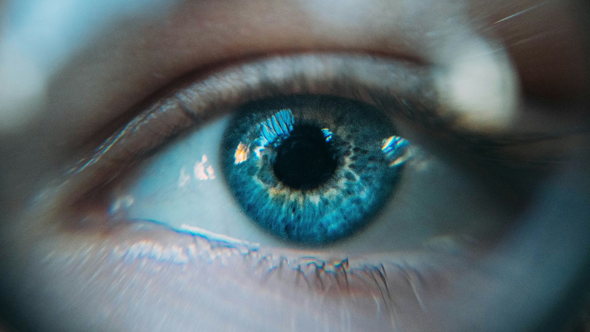 17889903886a86648b8cb1a5b04dfb62c2ddf589b98e06a44c.jpg