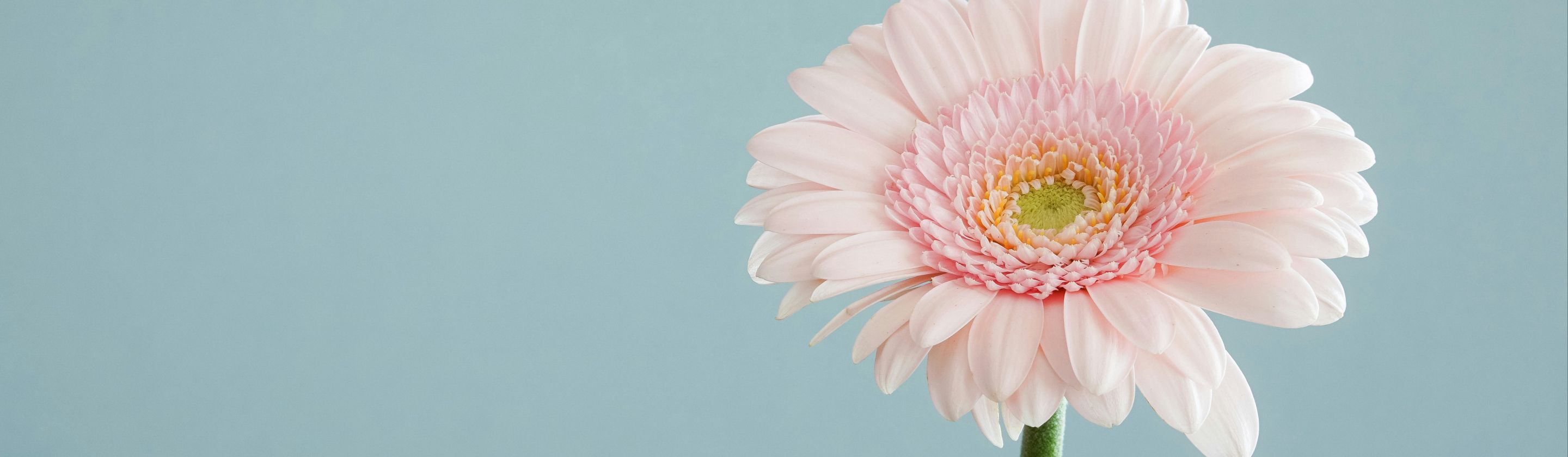 Editorial Transparency