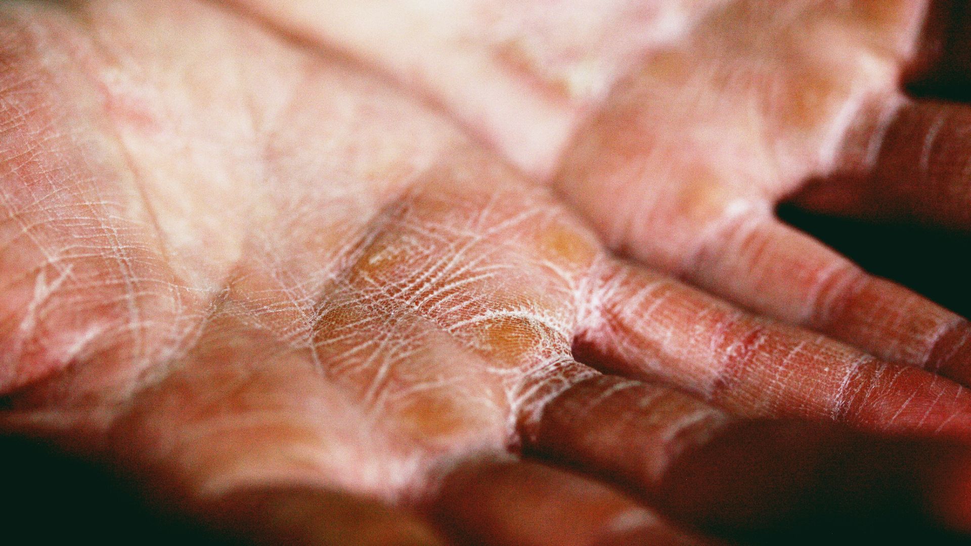 person holding brown and white textile