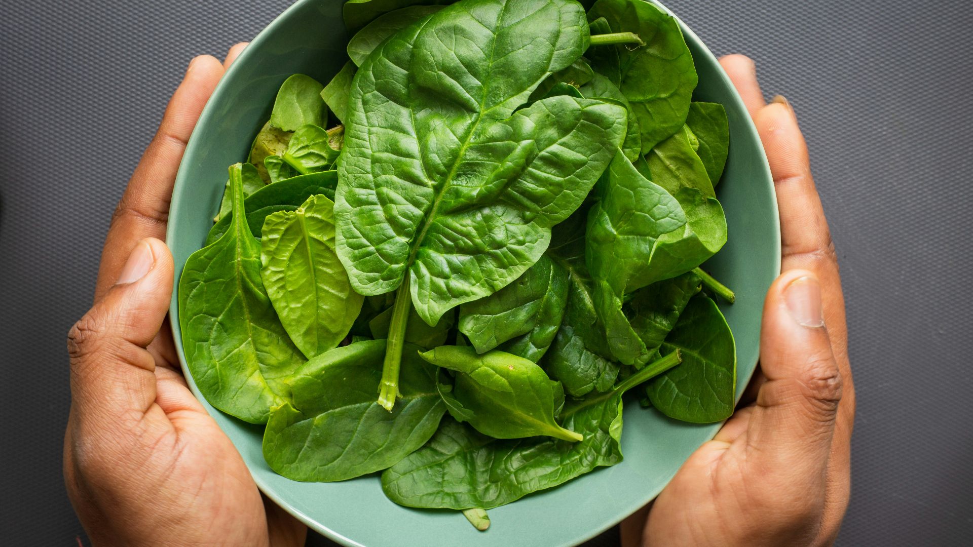 green leaves on blue plastic bowl