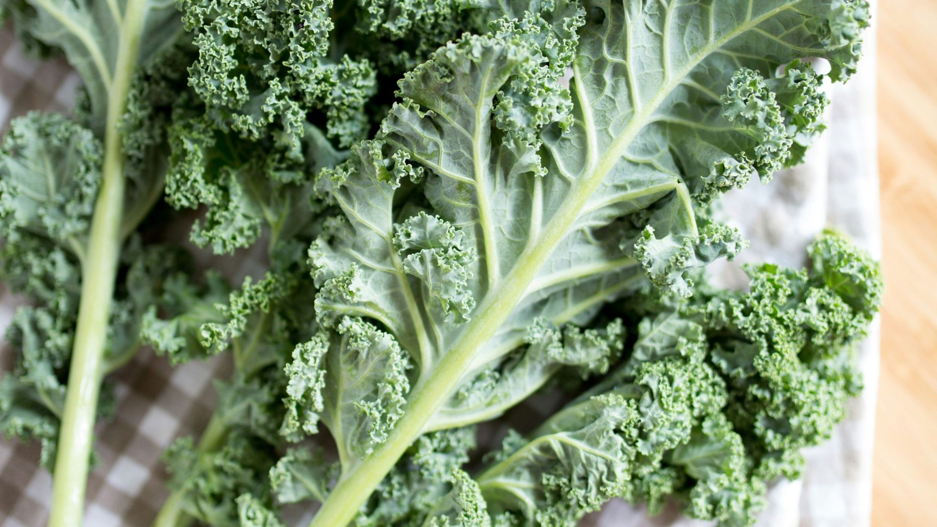 green leaf vegetable