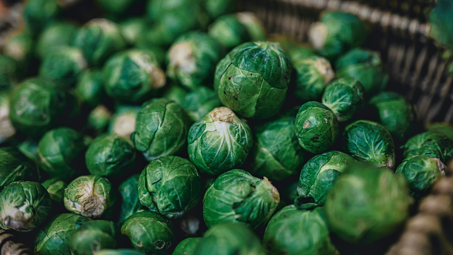 green leaves on brown woven basket