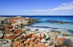 Bay_of_Fires-15-300x193.jpg