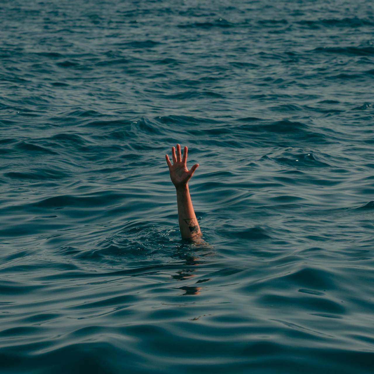 Pexels-Serday-Deviren-736234976-18510251