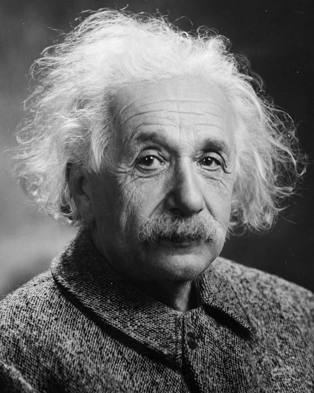 1024Px-Albert Einstein Head (Cropped)