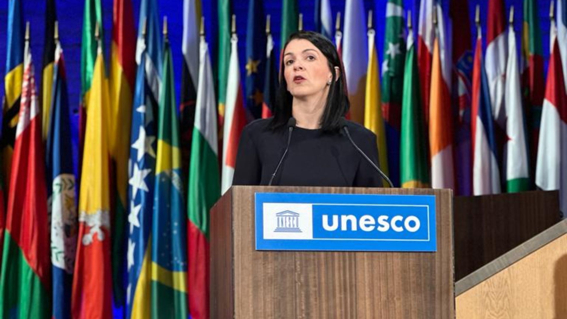 File:UNESCO November 2023 meeting - Премиерот Ковачевски во работна посета на Париз - 18.jpg