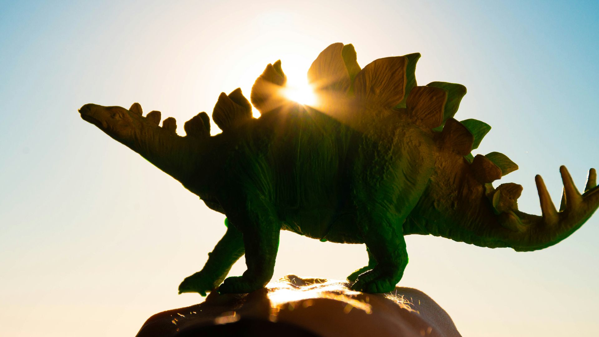 green and brown dinosaur figurine