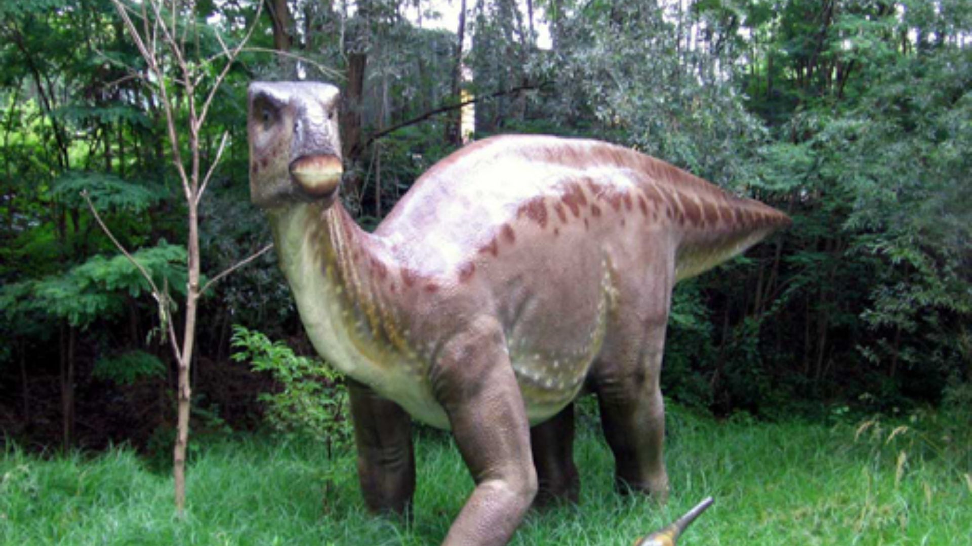 File:Iguanodon Dinopark.jpg