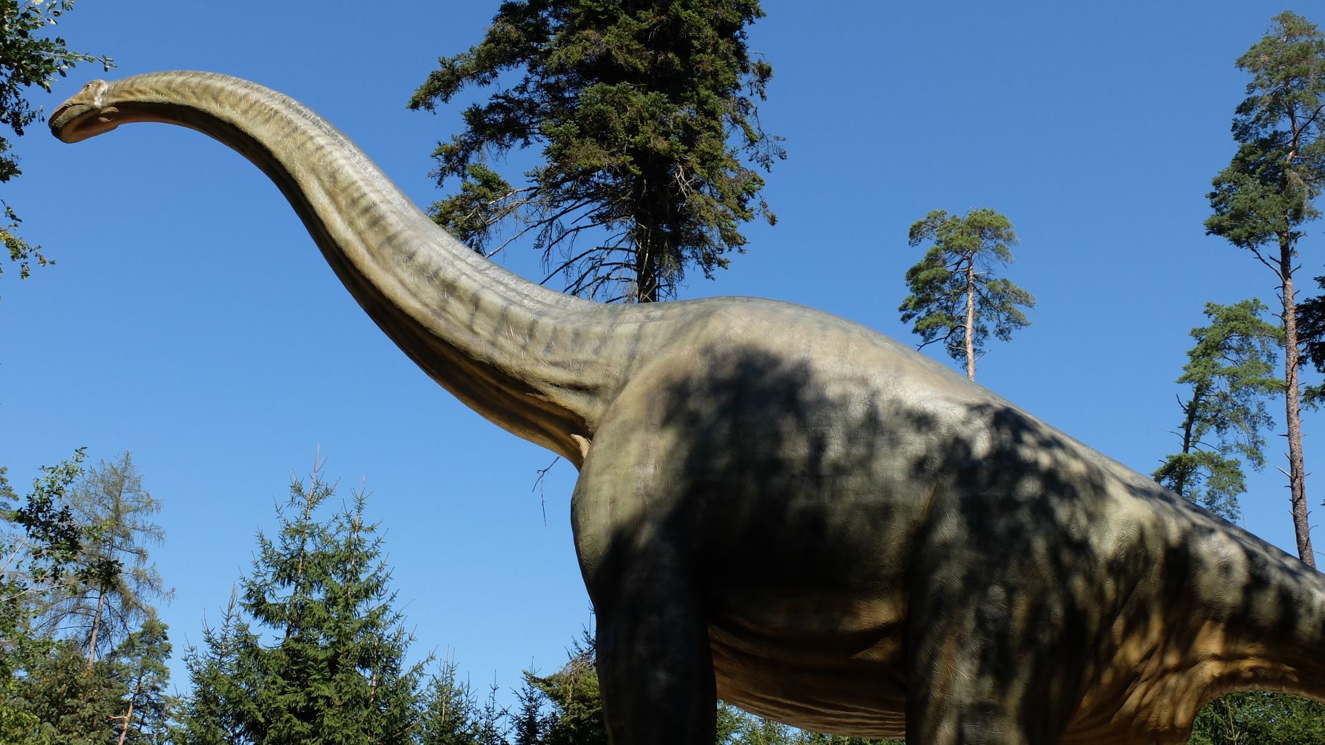File:Brachiosaurus Dinopark Denkendorf.jpg