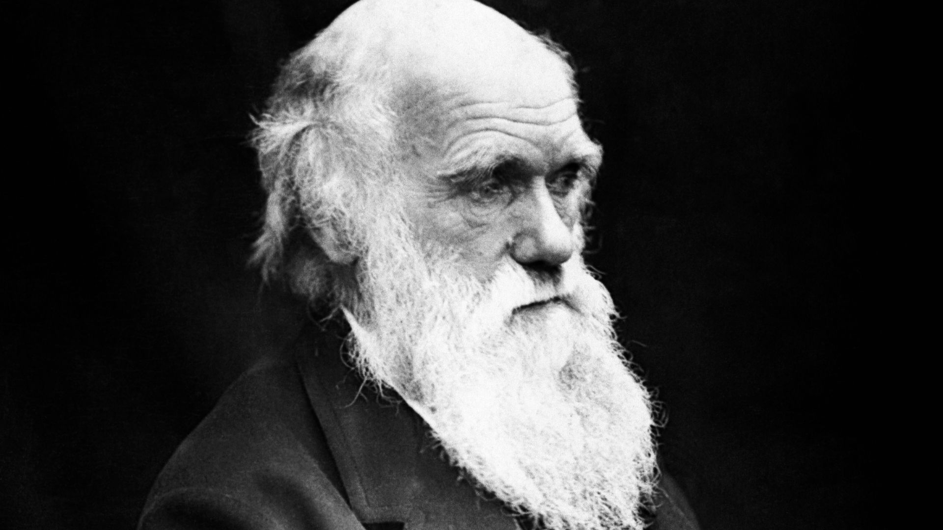 File:Charles Darwin 01.jpg