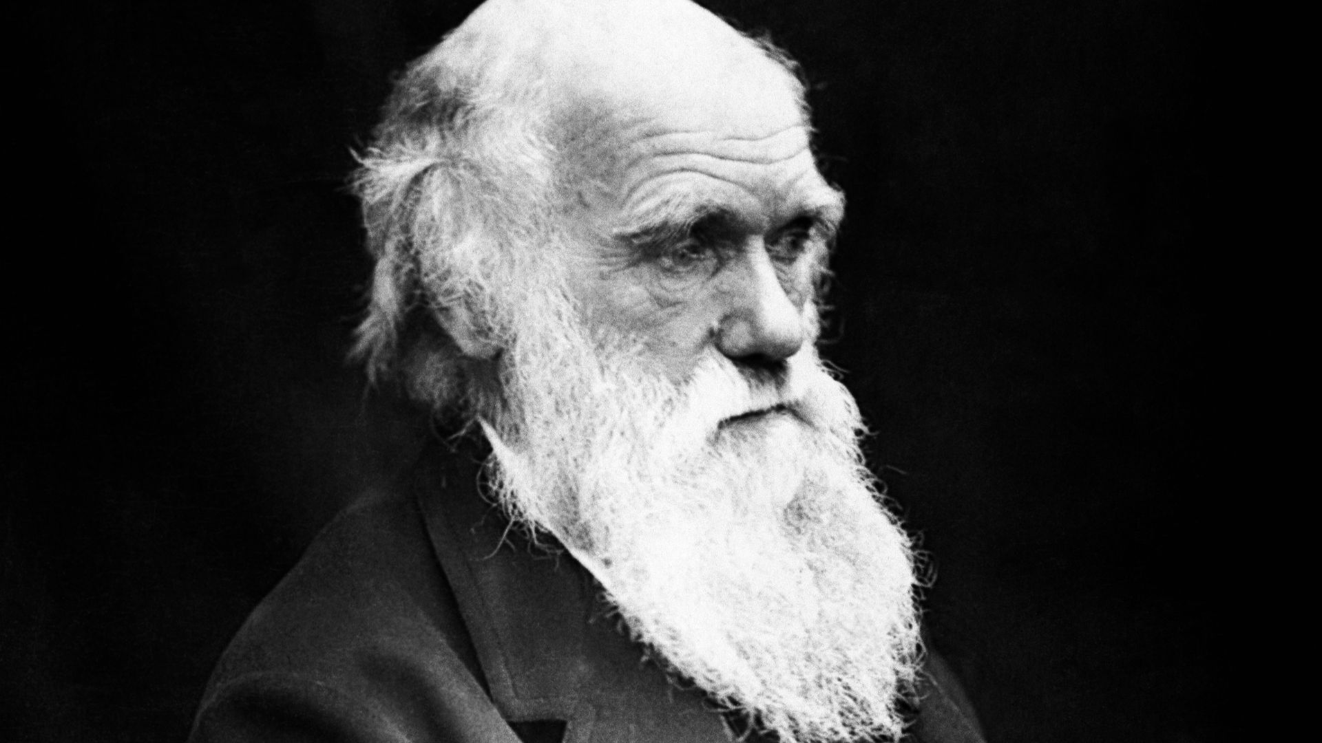 File:Charles Darwin 01.jpg