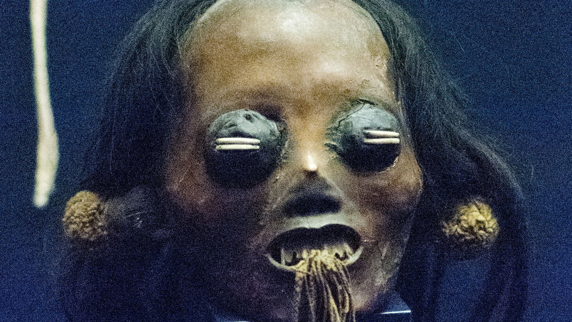 File:Shrunken head (12133868334).jpg