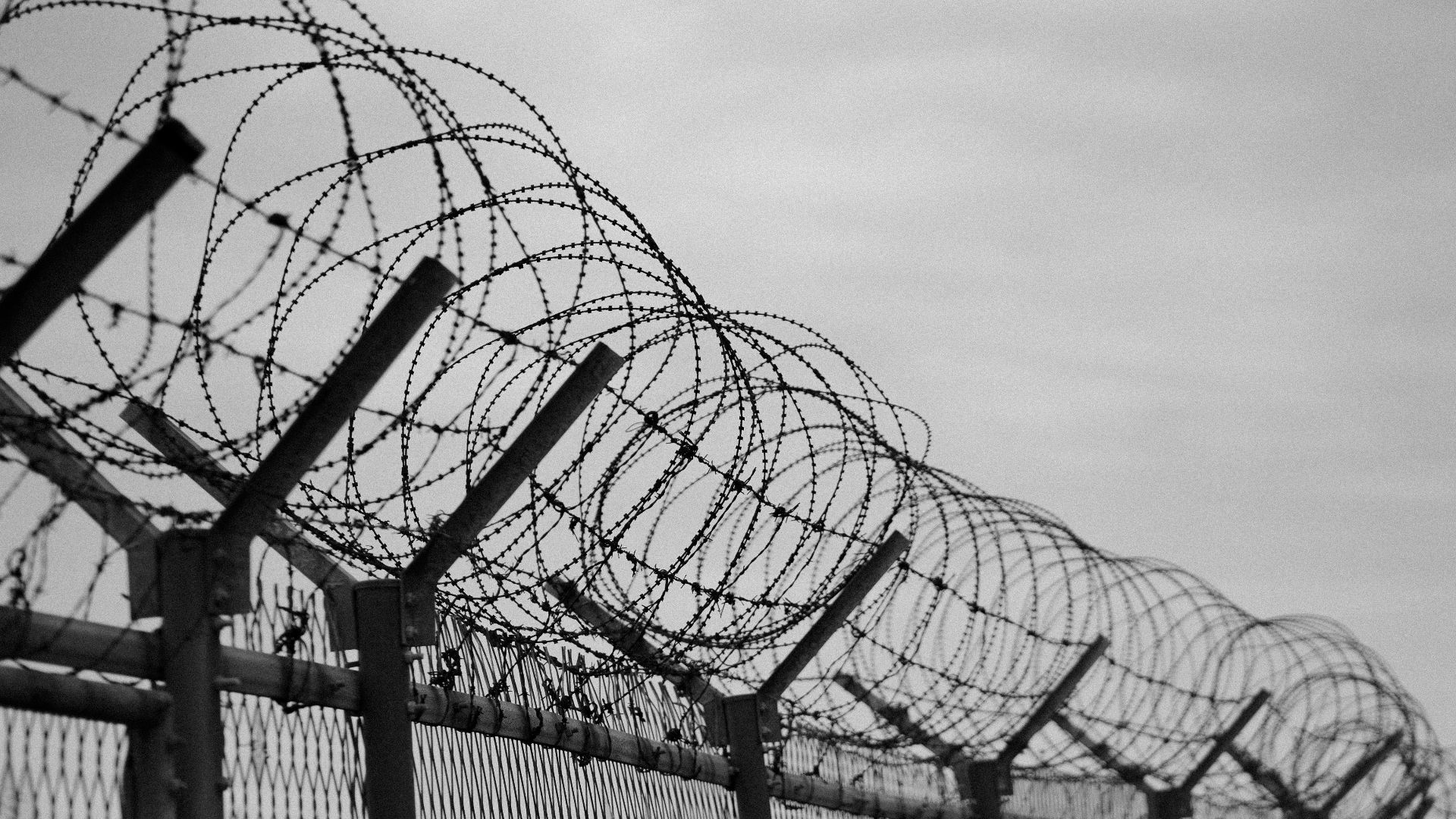 grayscale photo of metal fence