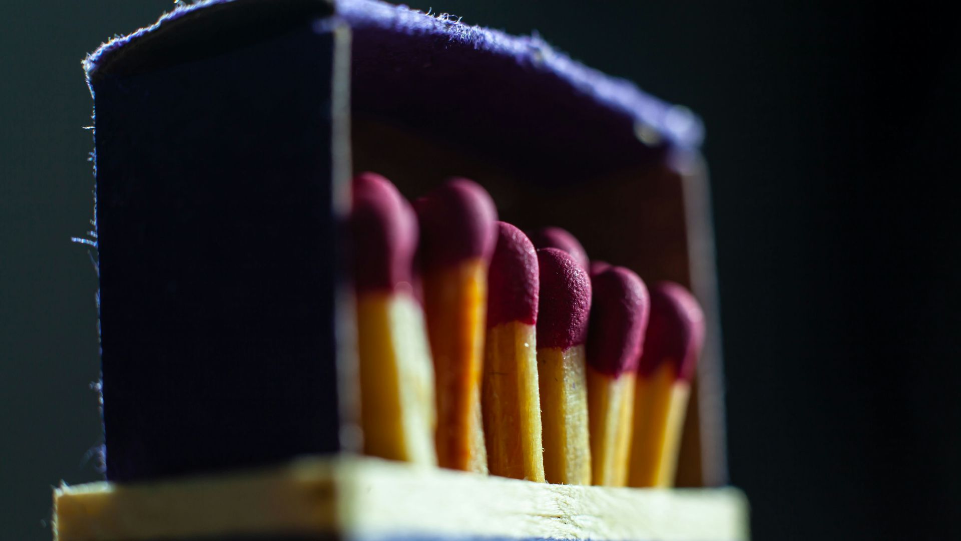 a group of colored pencils in a case