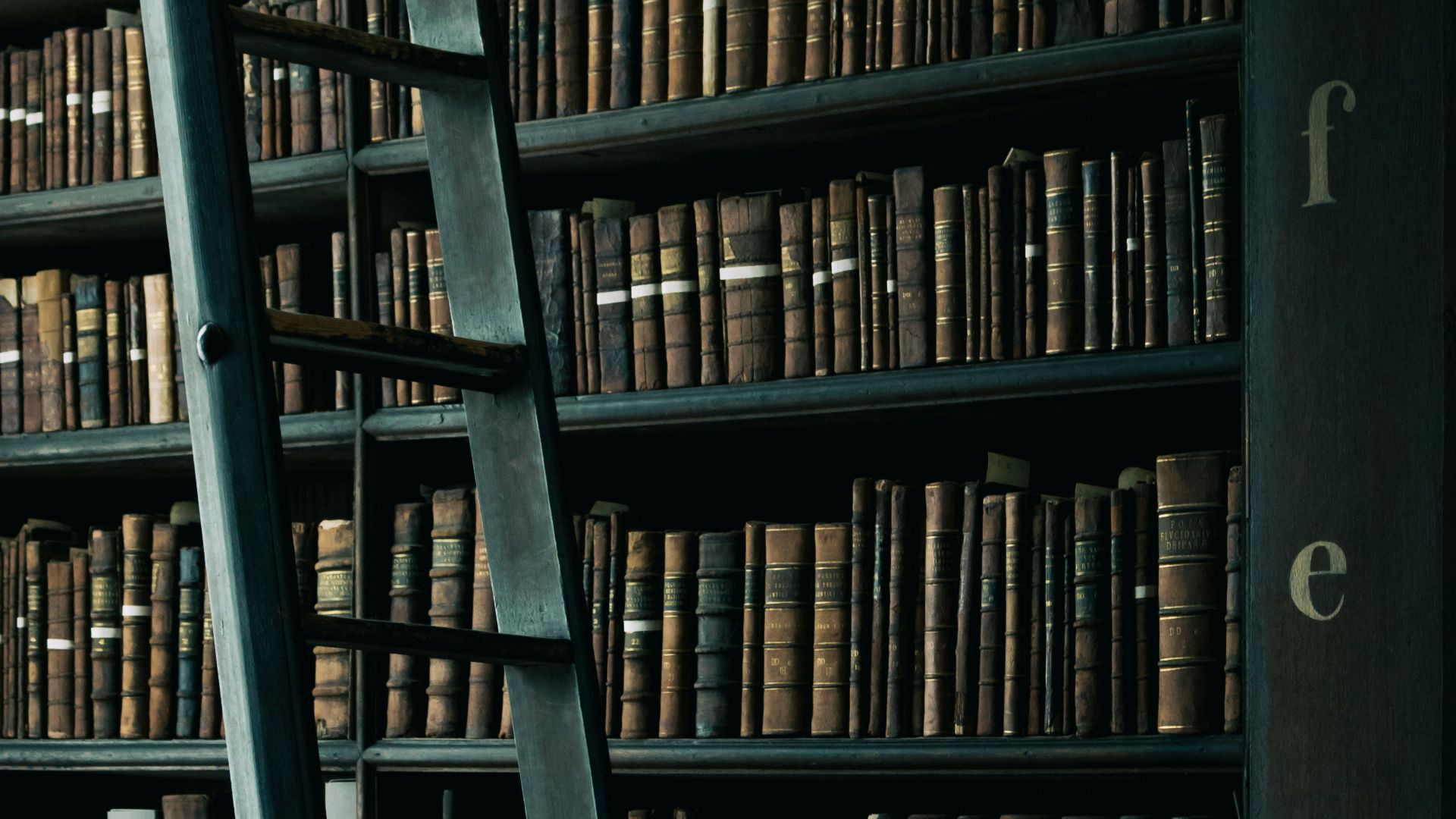 library shelf near black wooden ladder