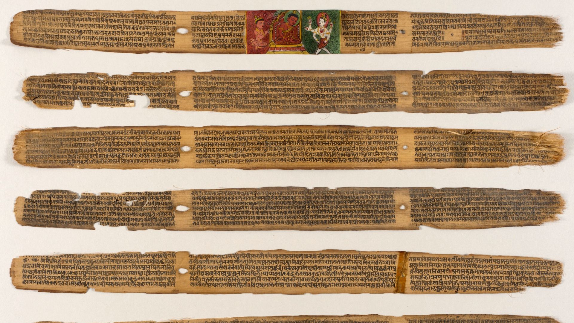 File:The Susruta-Samhita or Sahottara-Tantra (A Treatise on Ayurvedic Medicine) LACMA M.87.271a-g (1 of 8).jpg