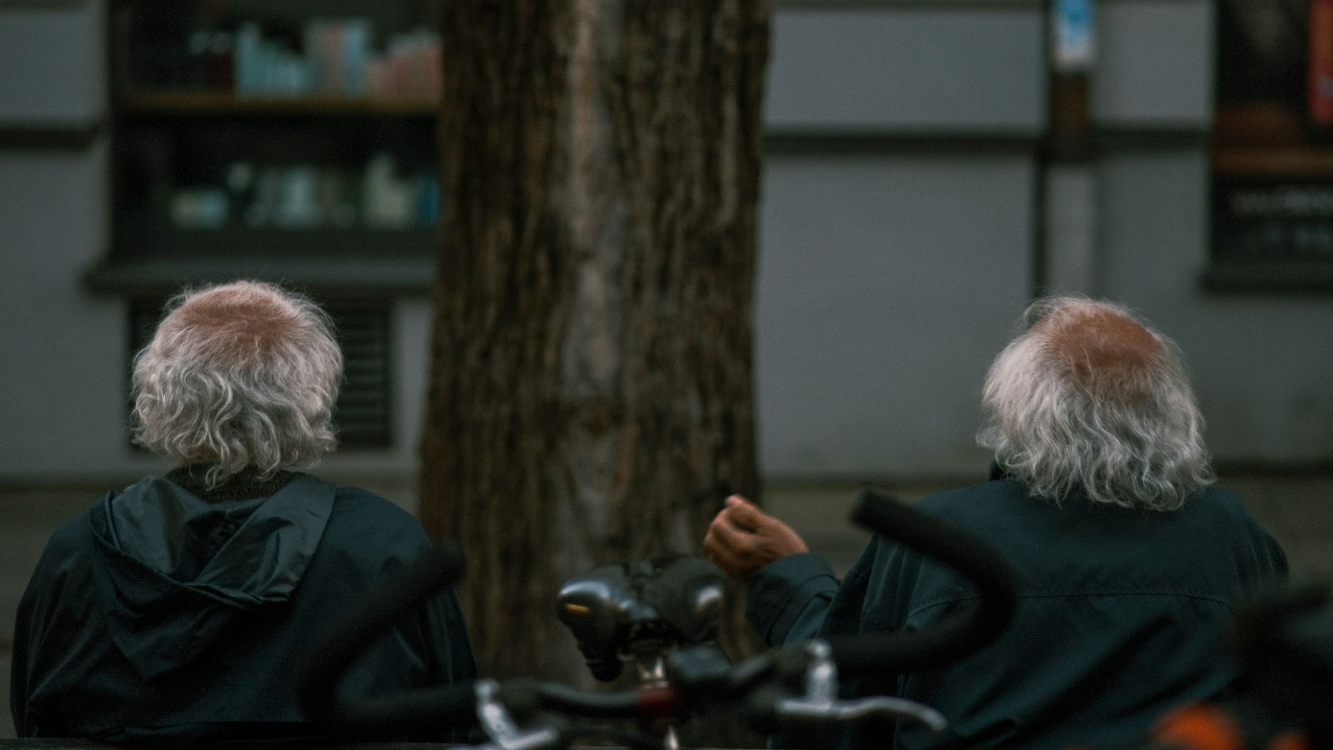 a couple of people sitting next to a tree