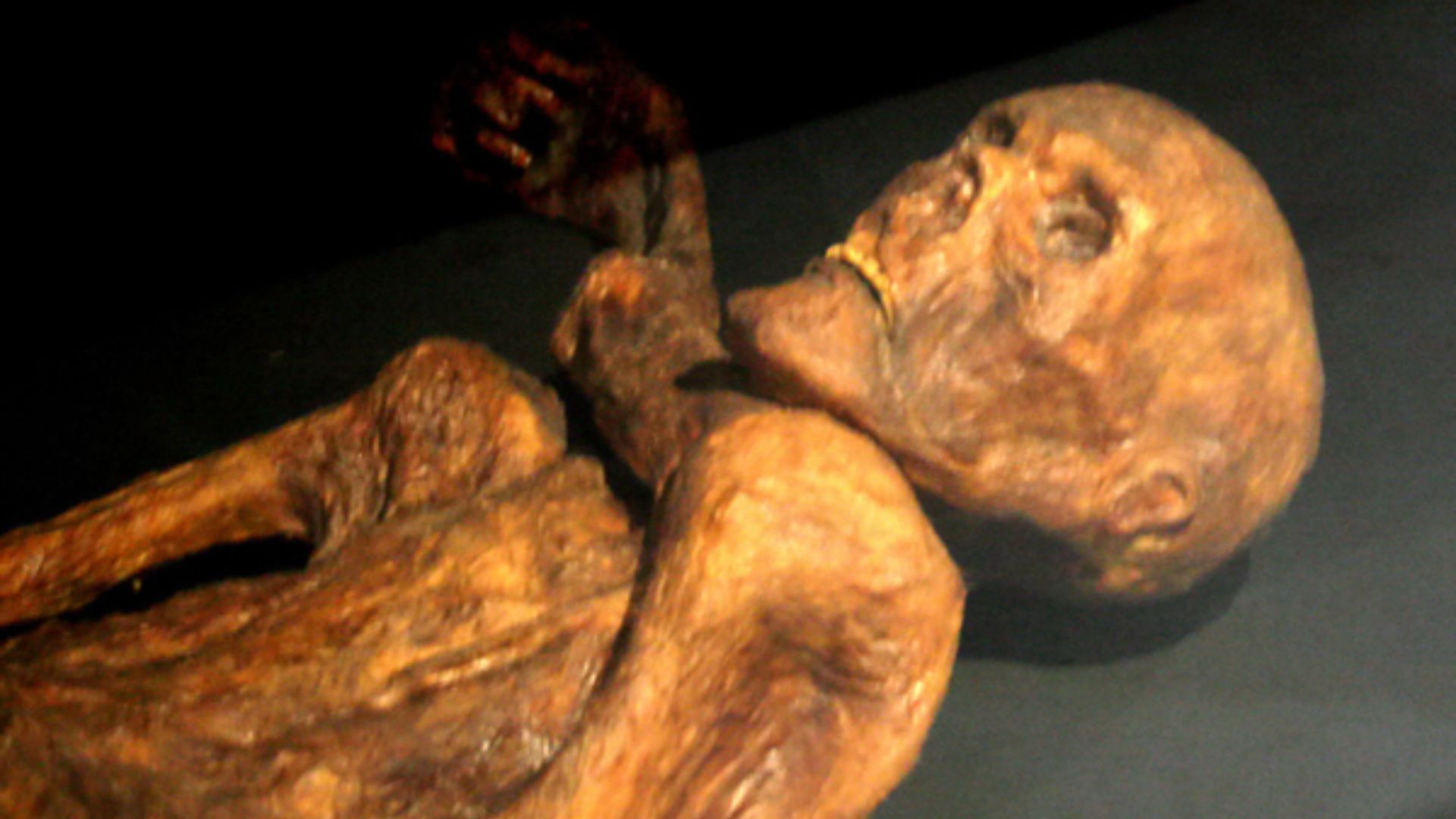 File:Otzi-Quinson.jpg