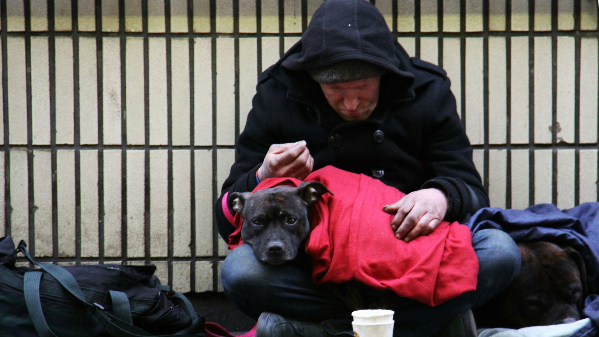 dog on top of person's lap while sitting on ground at daytime
