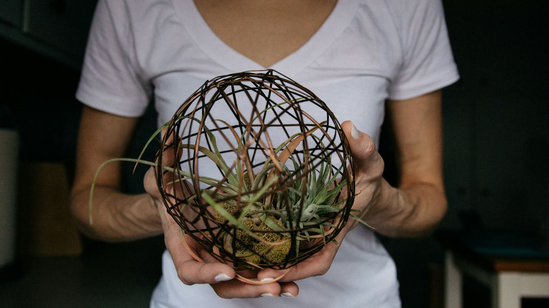 woman in white crew neck t-shirt holding green plant