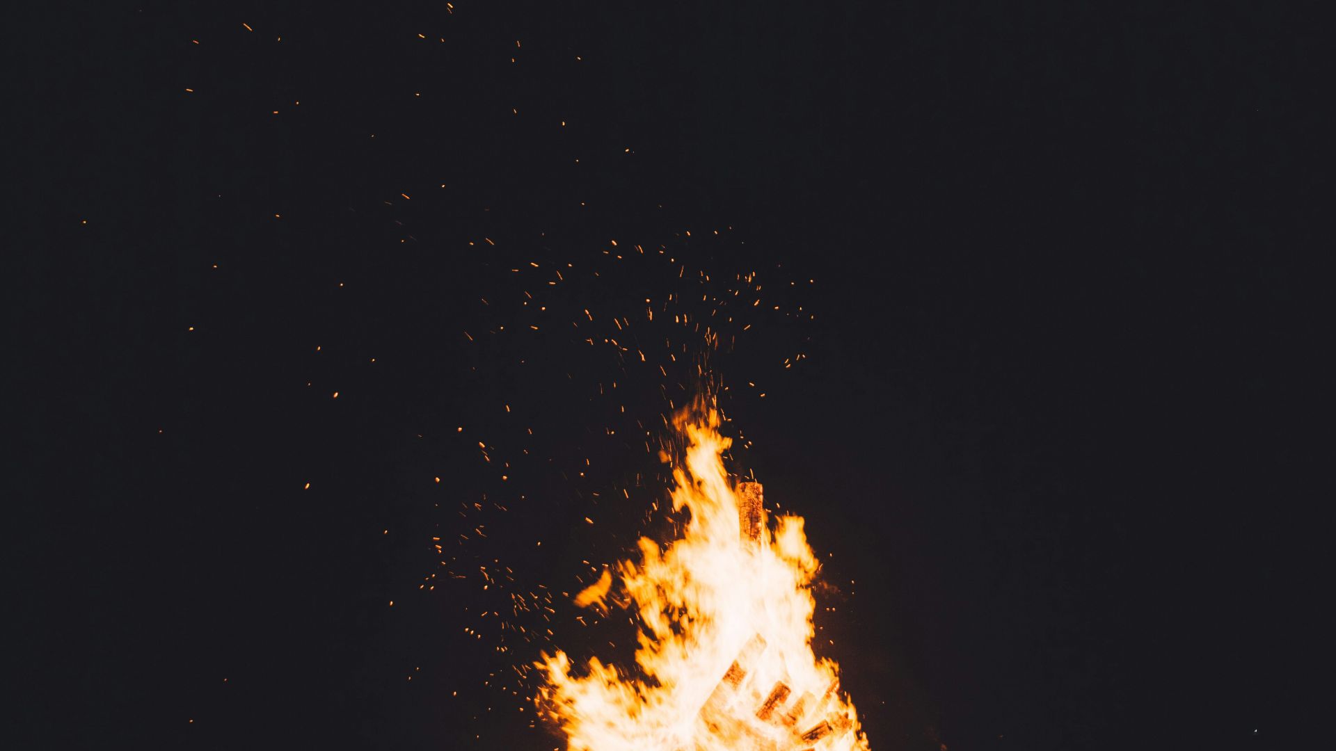photography of burning camp fire