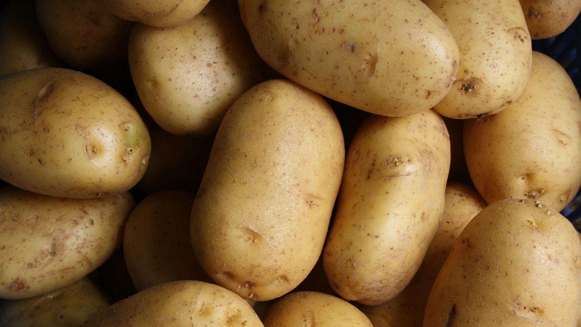 brown potato lot