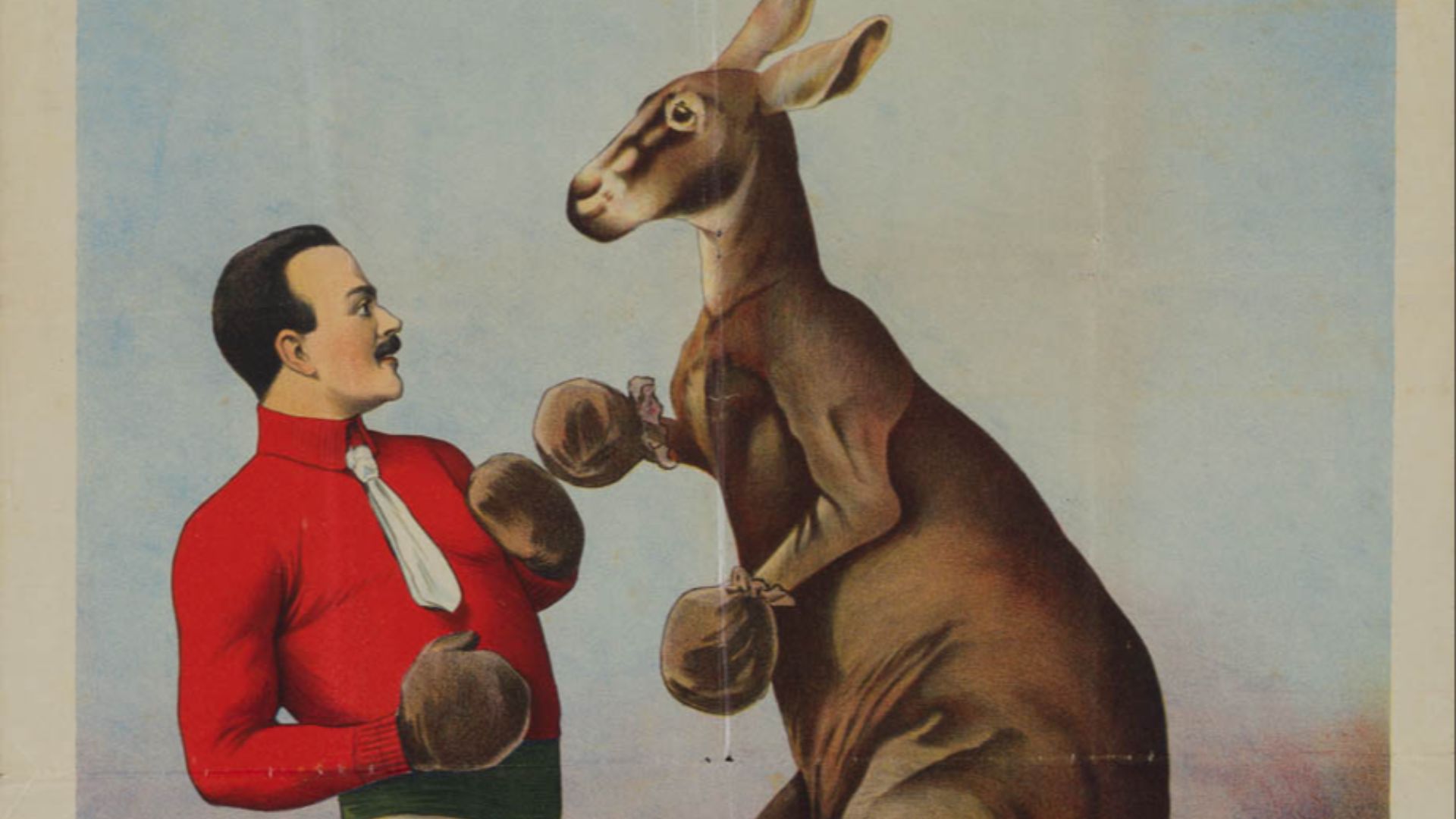 File:Kangaroo Boxing sideshow poster.jpg