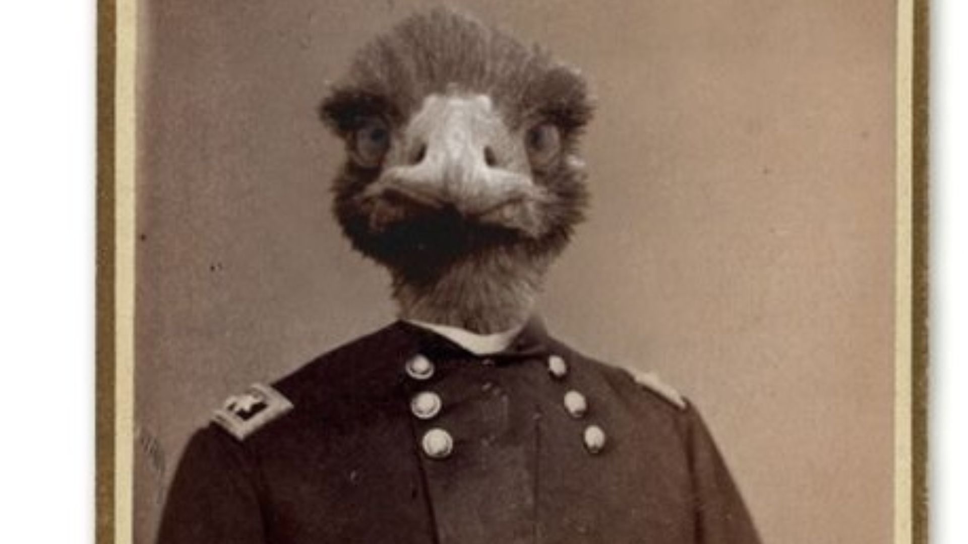 File:Emu Commander.jpg