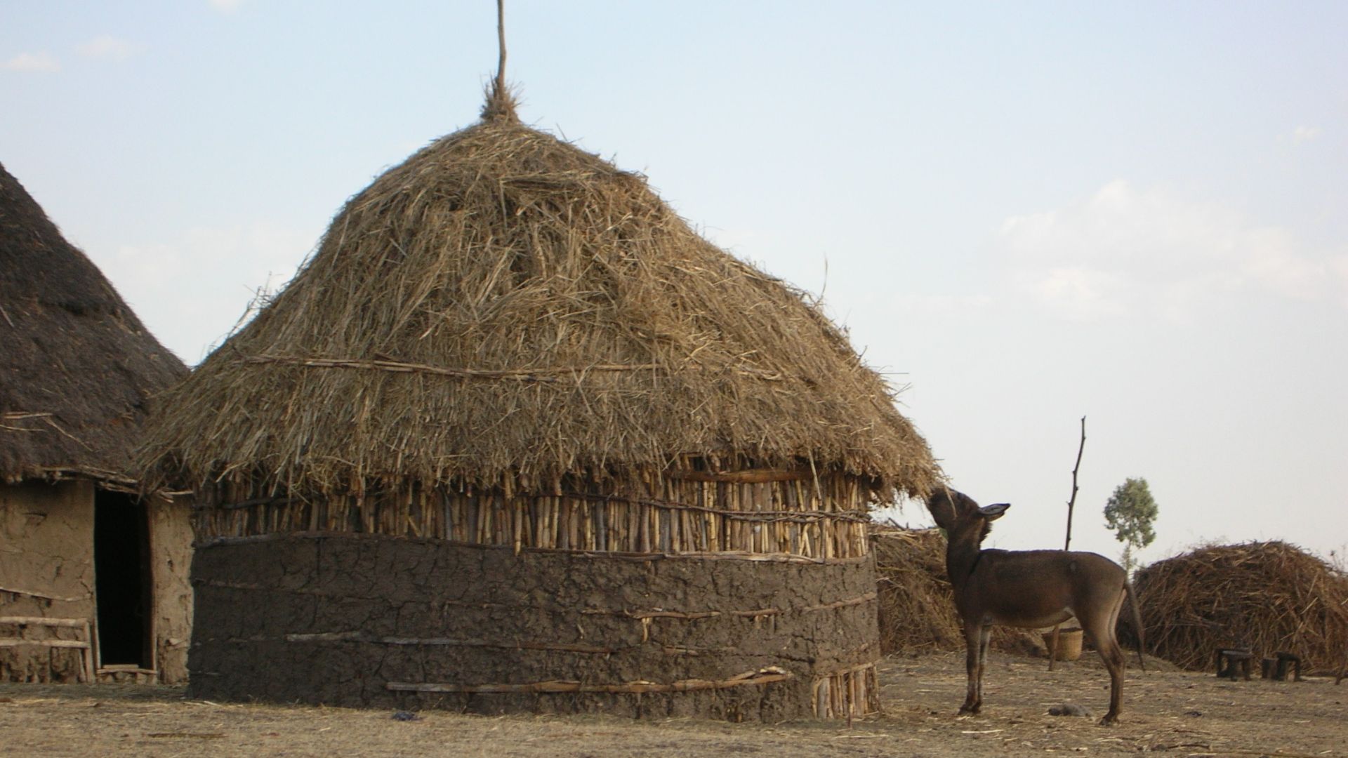 File:Torchis, Etiopia.jpg