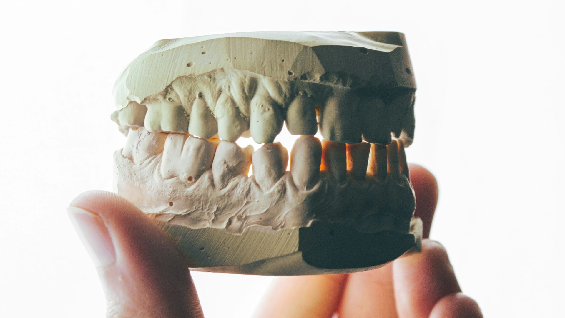 person holding brown and white round ornament