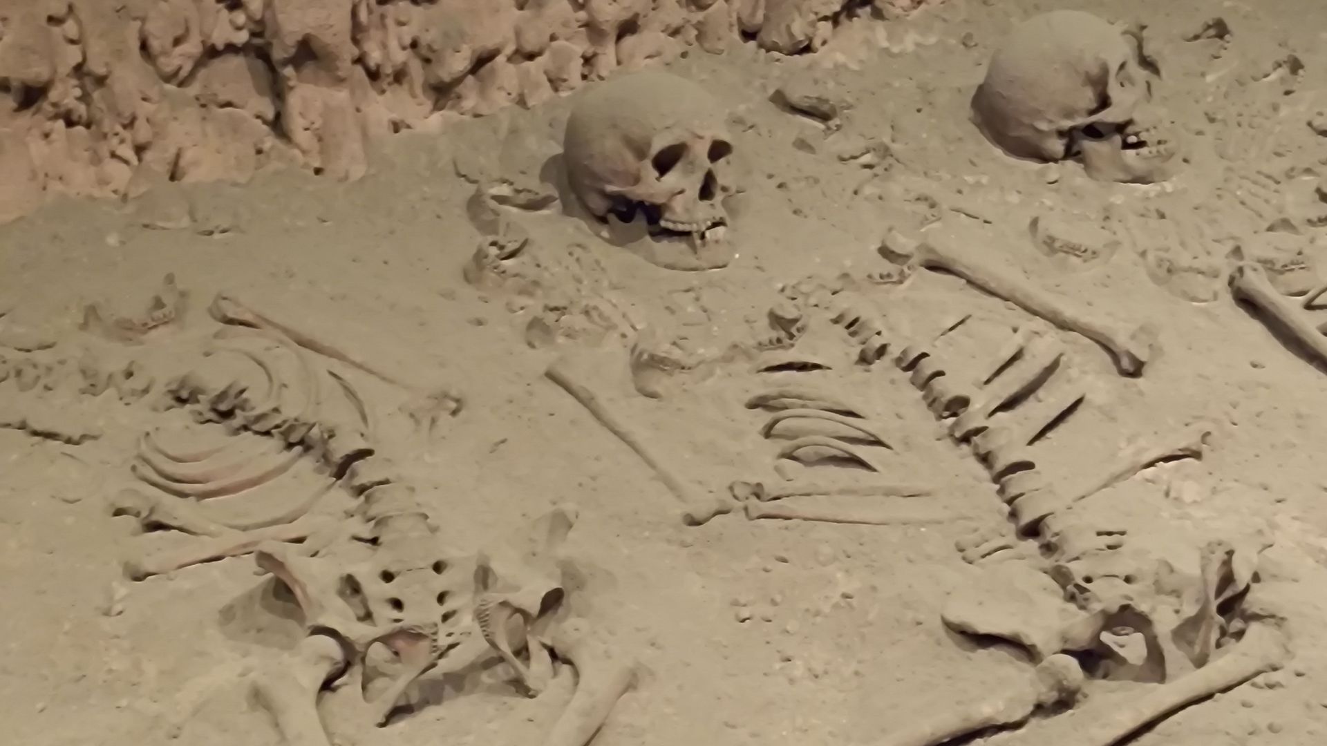 File:Human sacrifices in the Museo Nacional de Antropología.jpg