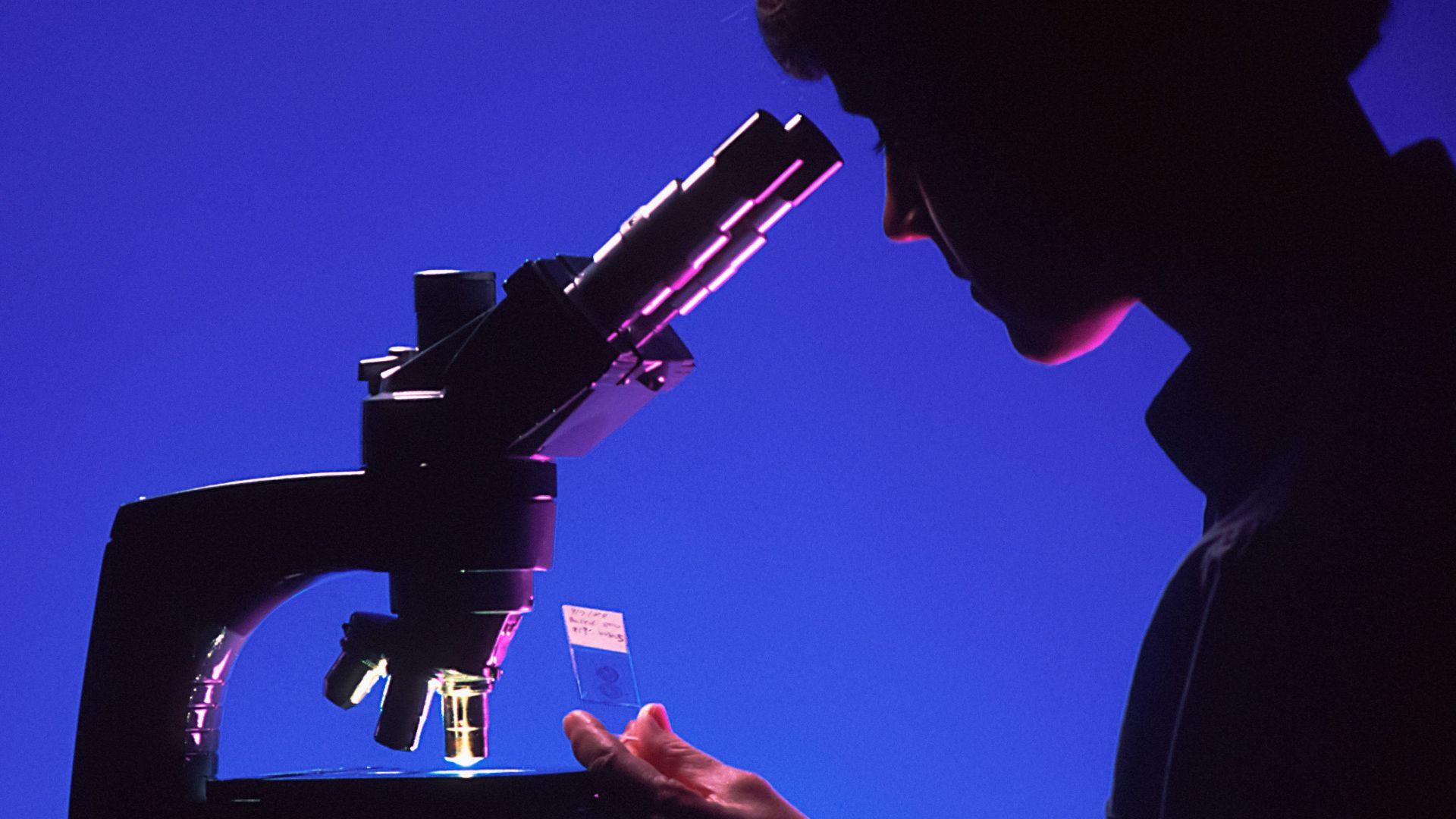 man in gray dress shirt holding black camera