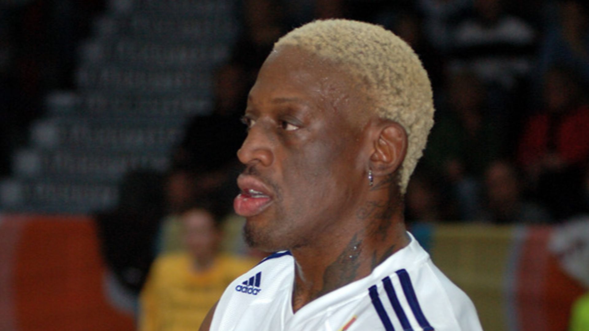 File:Dennis Rodman ToPo.jpg