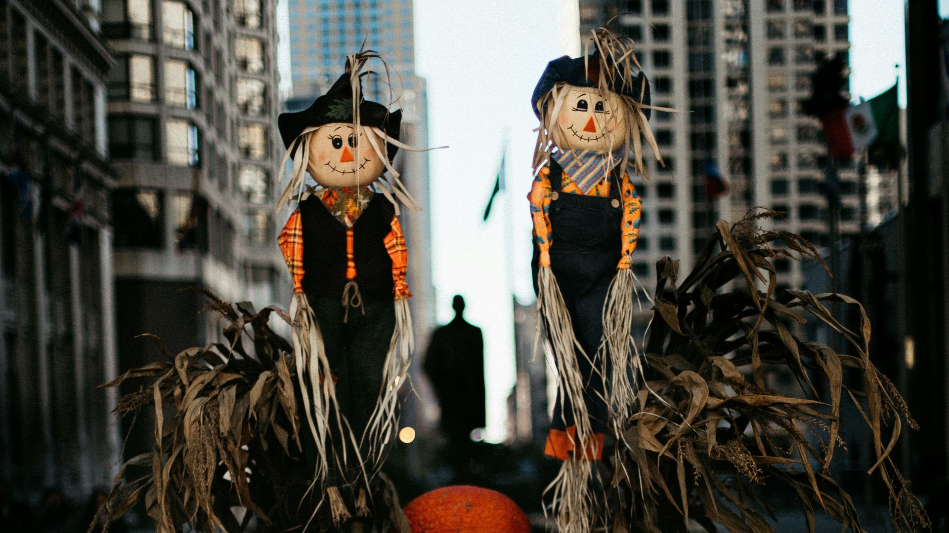 orange pumpkin photography