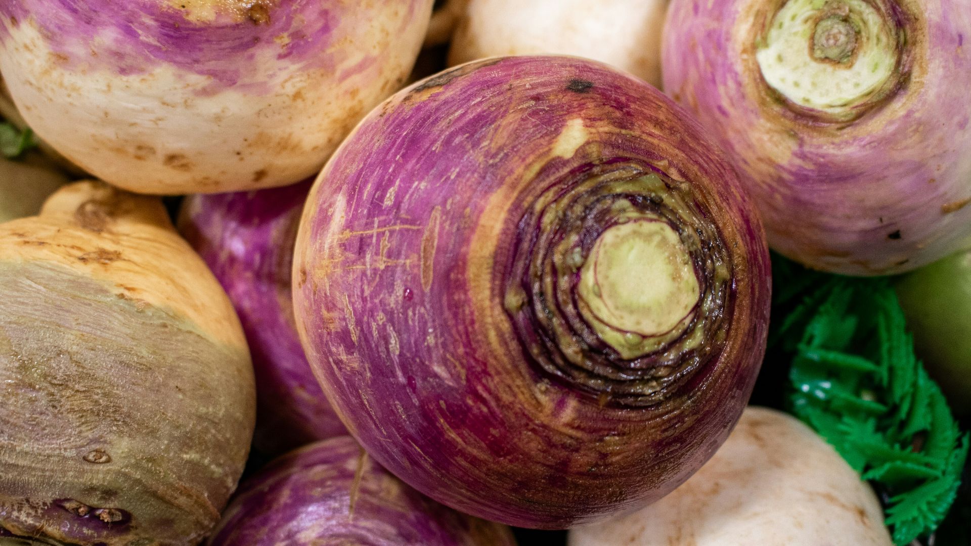 A pile of fresh purple and white turnips.