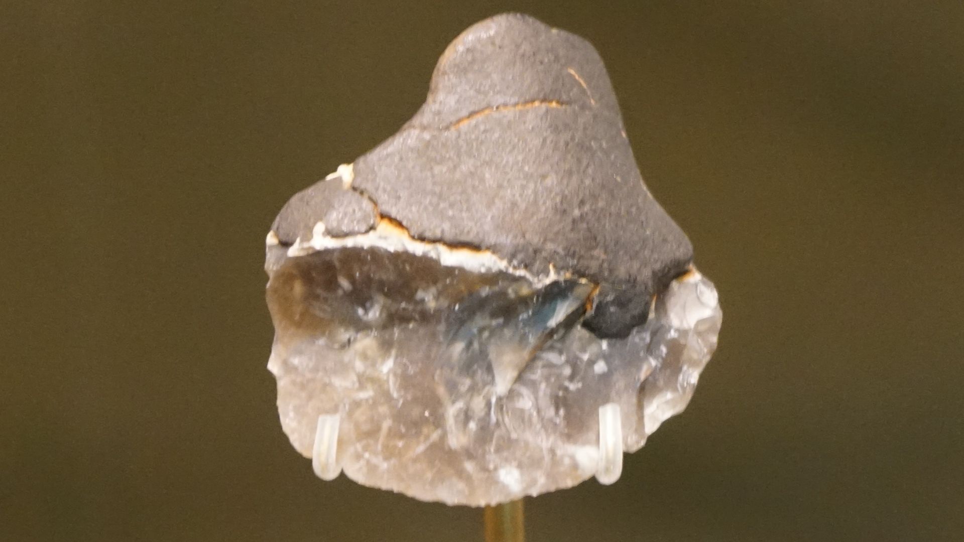 File:Leiden - RMO - tentoonstelling Doggerland - vuurstenen mesje gevat in berkenpek (Zandmotor, ca 50.000 jaar geleden) 20210629.jpg