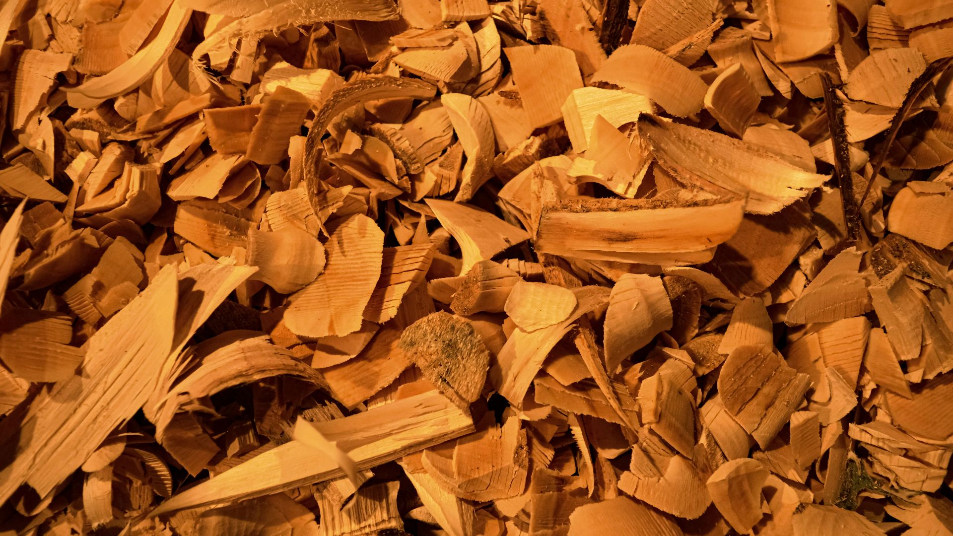 brown dried leaves on ground