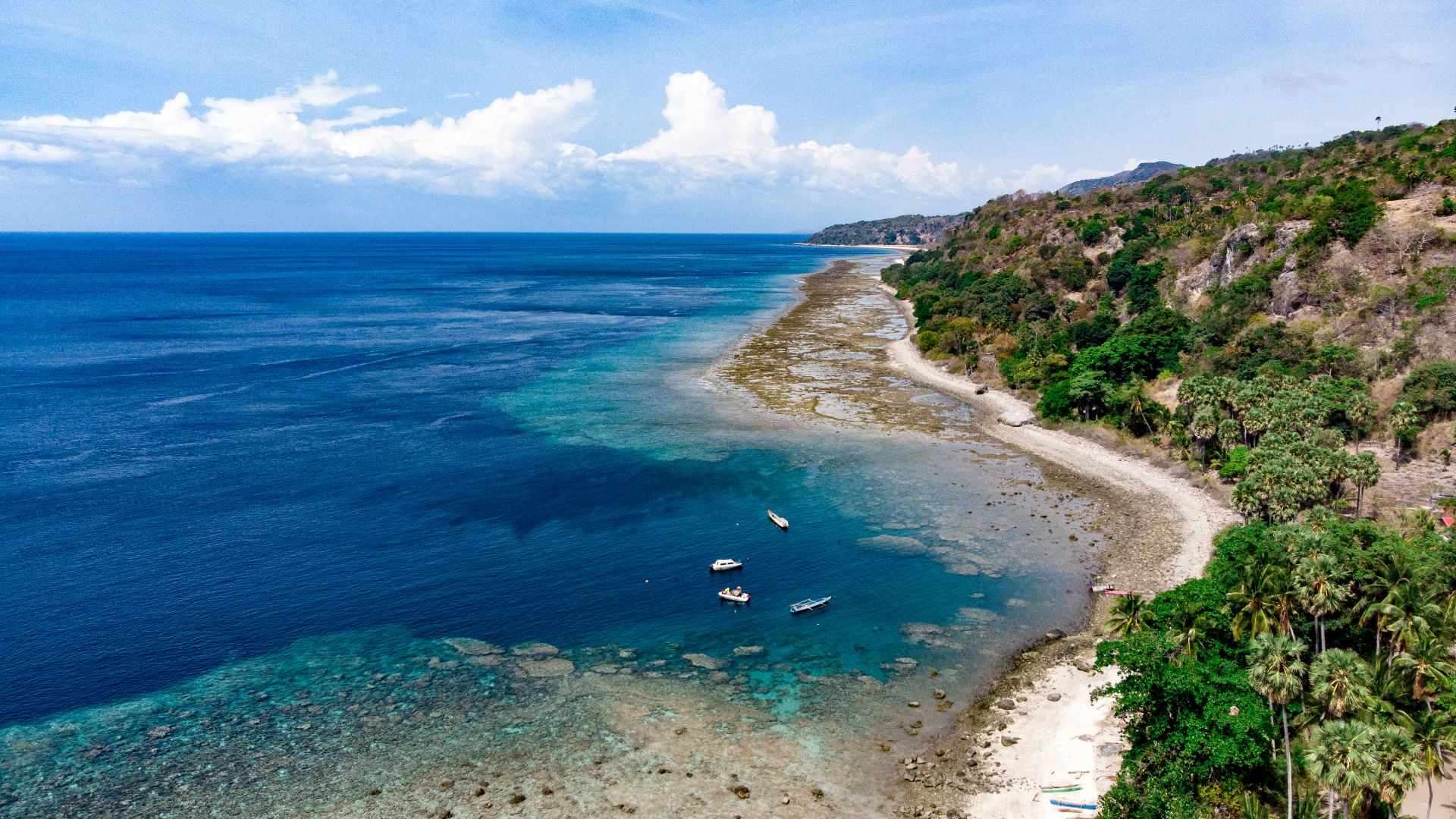 aerial photo of sea beside island