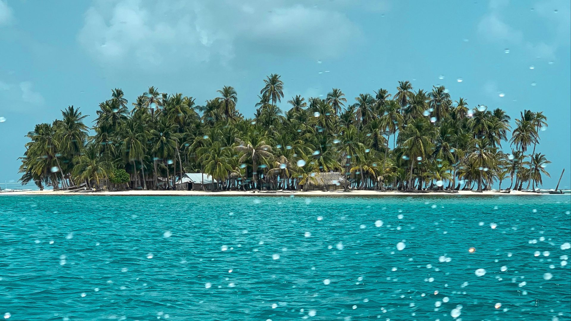 green palm trees on island during daytime