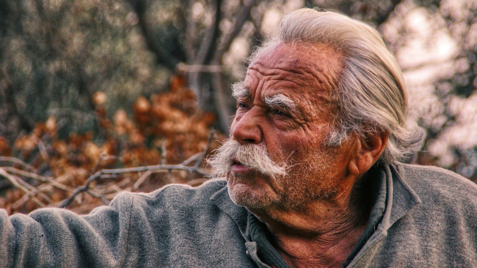 man wearing collared sweatshirt